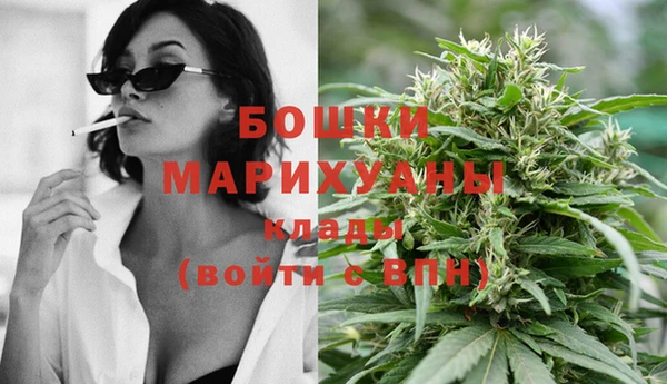 молекула духа Усинск