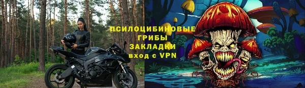 молекула духа Усинск
