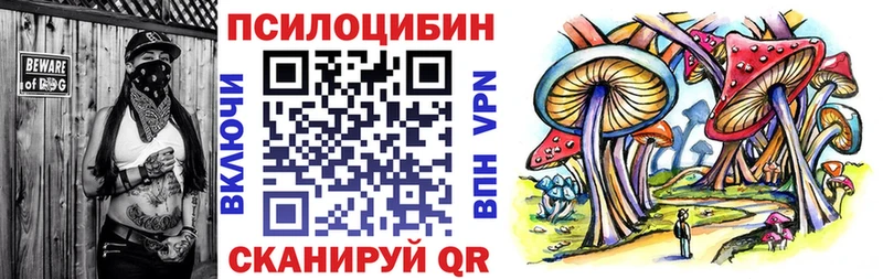МЕГА маркетплейс  цена наркотик  Шарыпово  Псилоцибиновые грибы Psilocybine cubensis 